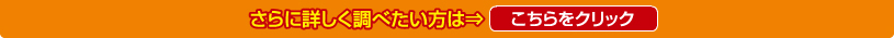 さらに詳しく調べたい方は⇒